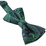Floral Paisley Pre-Tied Bow Tie for Boy - GREEN/NAVY BLUE