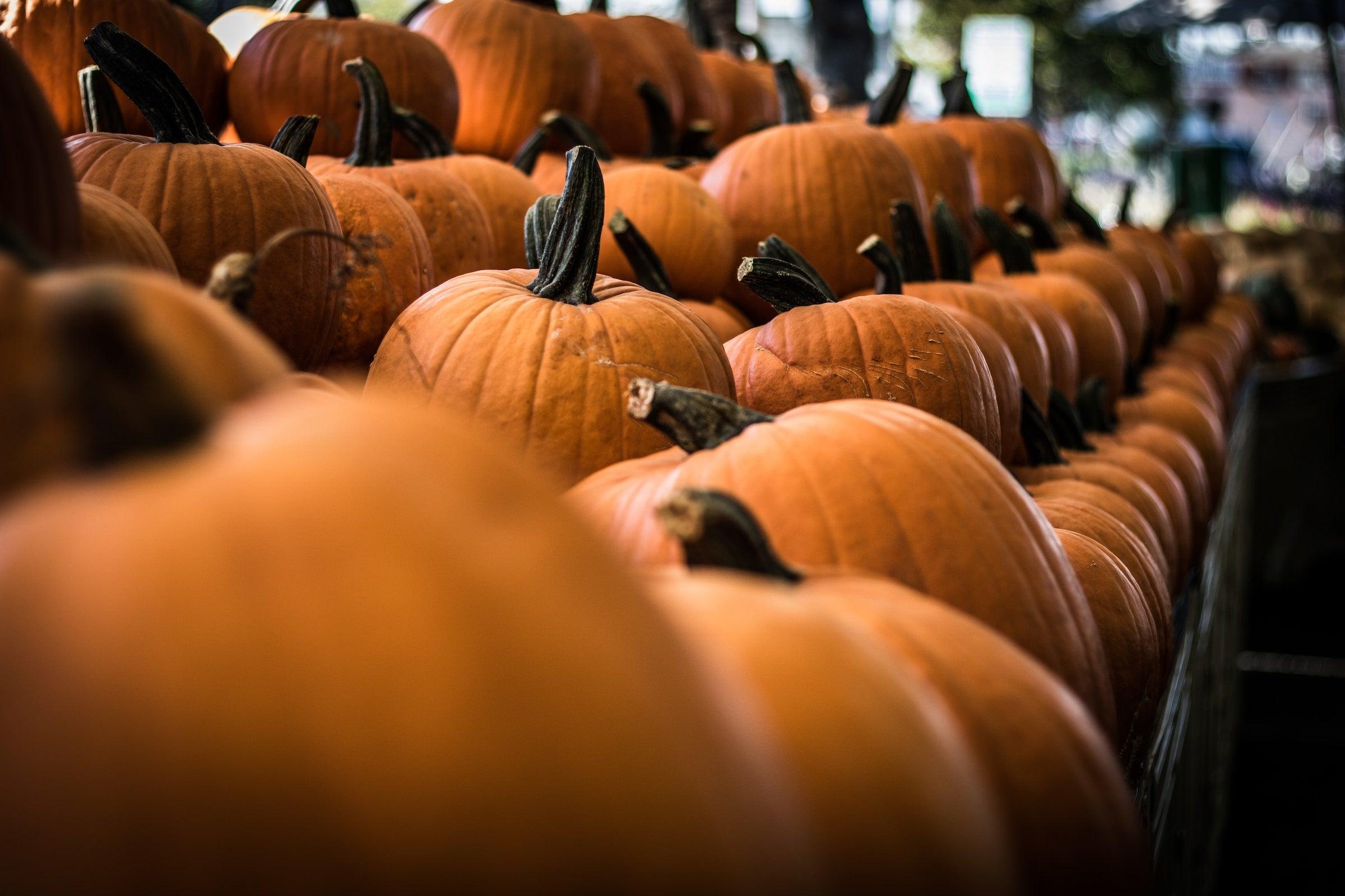 Scary Halloween Menu Ideas