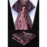 Paisley Tie Handkerchief Set - BURGUNDY/GRAY 