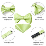 Polka Dots Bow Tie & Pocket Square - E4-GREEN /WHITE