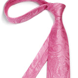 Paisley Tie Handkerchief Clip - PINK
