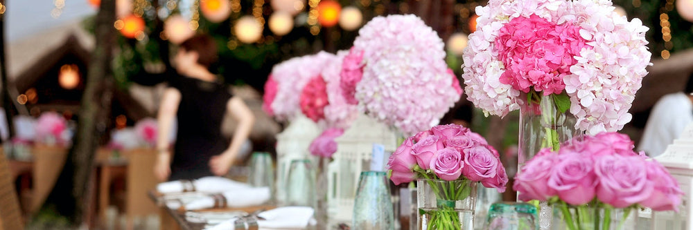 Wedding Blogs