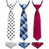 3PCS 15" Boy's Pre-Tied Necktie Handkerchief Set - T3E010