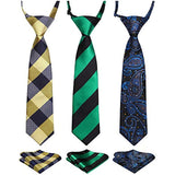 3PCS 13"/15" Boy's Pre-Tied Necktie Handkerchief Set - T3E007