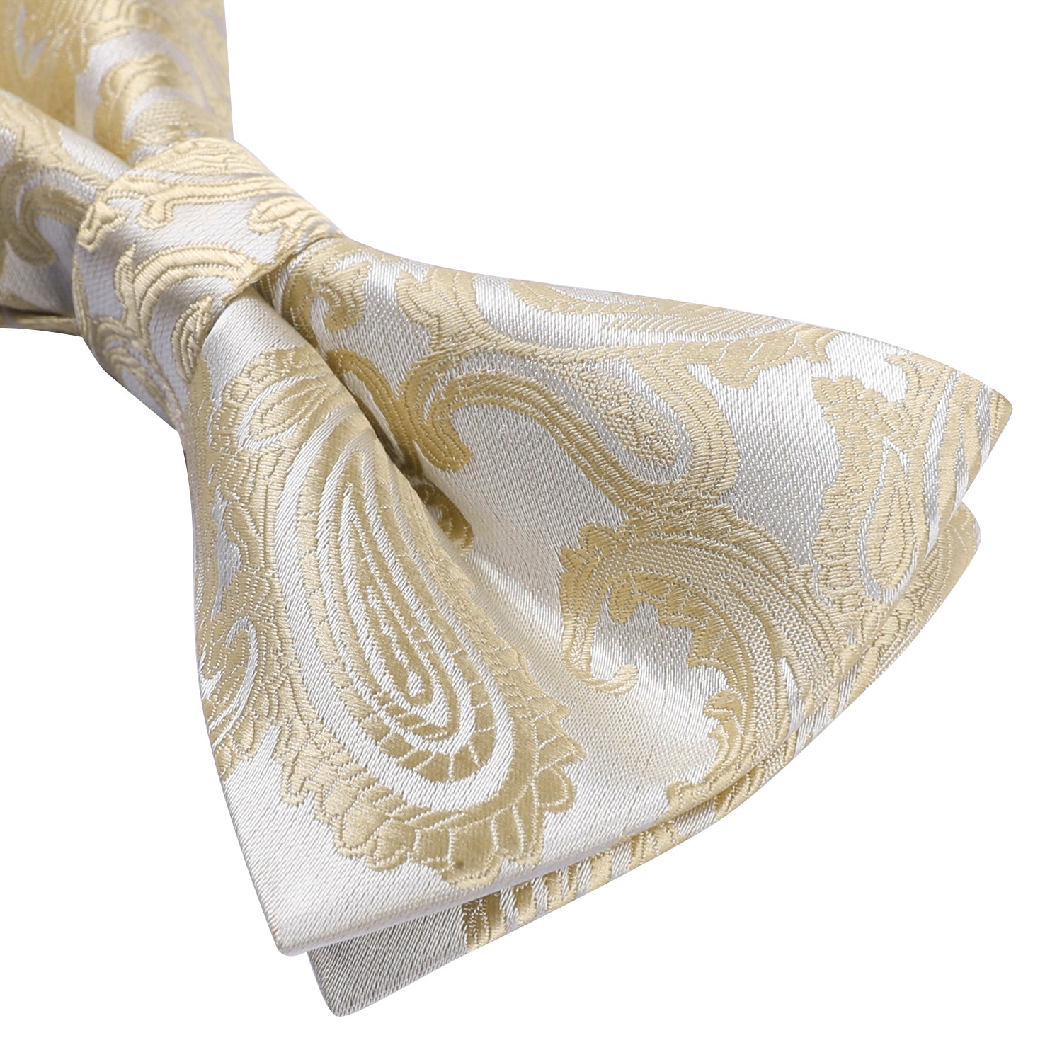 Floral Paisley Pre-Tied Bow Tie & Pocket Square Sets - 1-CHAMPAGNE